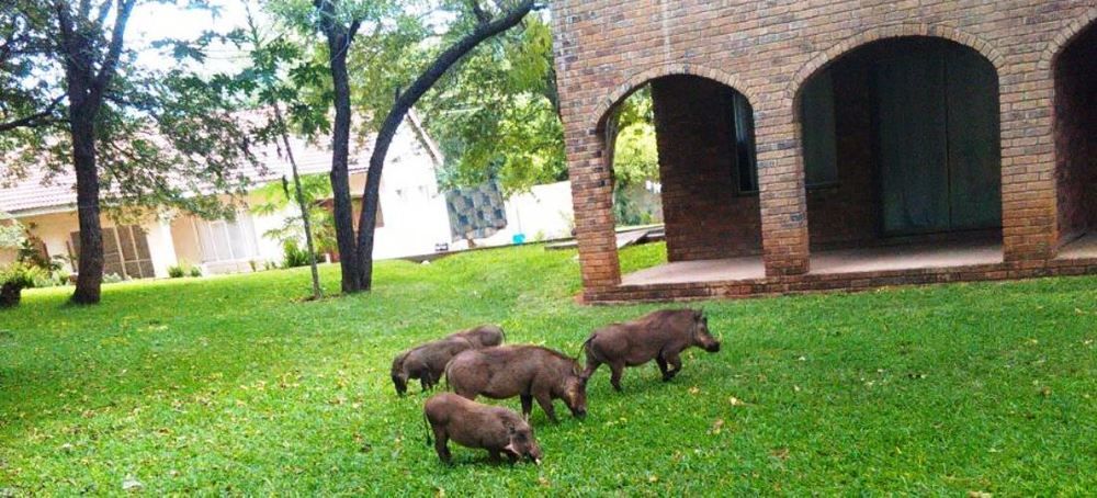 The View Lodge Victoria Falls Esterno foto